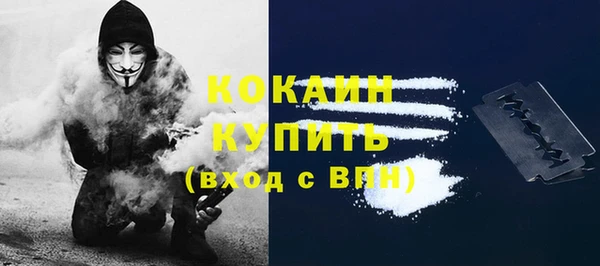 крисы Армянск