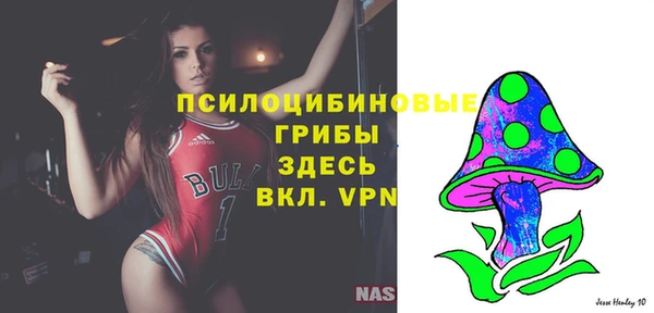 крисы Армянск