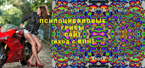 крисы Армянск